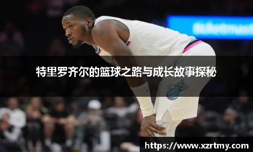esball官网