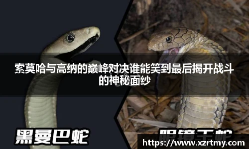 索莫哈与高纳的巅峰对决谁能笑到最后揭开战斗的神秘面纱